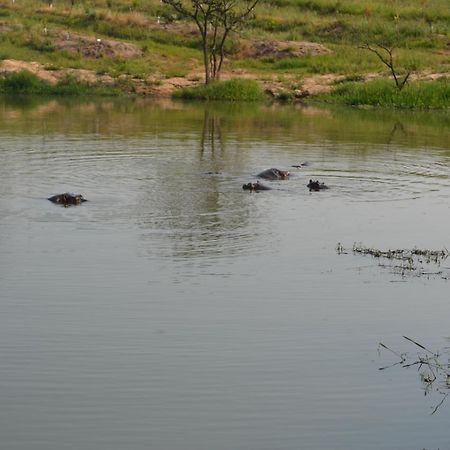 Kruger Park Lodge - Golf Safari Sa Hazyview Exteriör bild