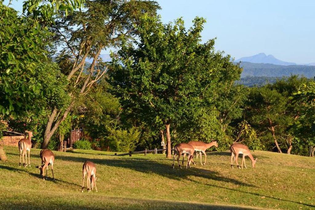 Kruger Park Lodge - Golf Safari Sa Hazyview Exteriör bild