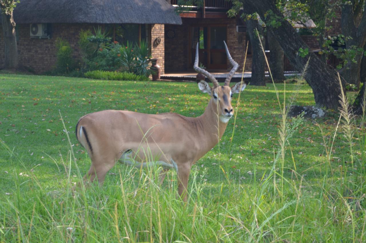Kruger Park Lodge - Golf Safari Sa Hazyview Exteriör bild