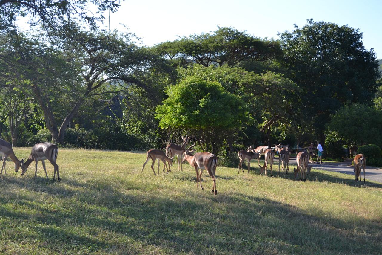 Kruger Park Lodge - Golf Safari Sa Hazyview Exteriör bild