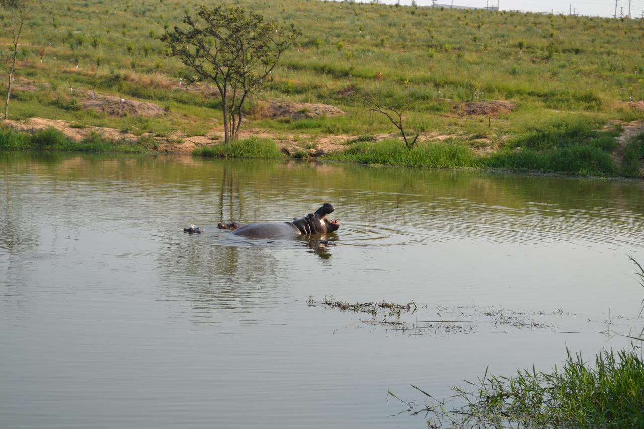 Kruger Park Lodge - Golf Safari Sa Hazyview Exteriör bild