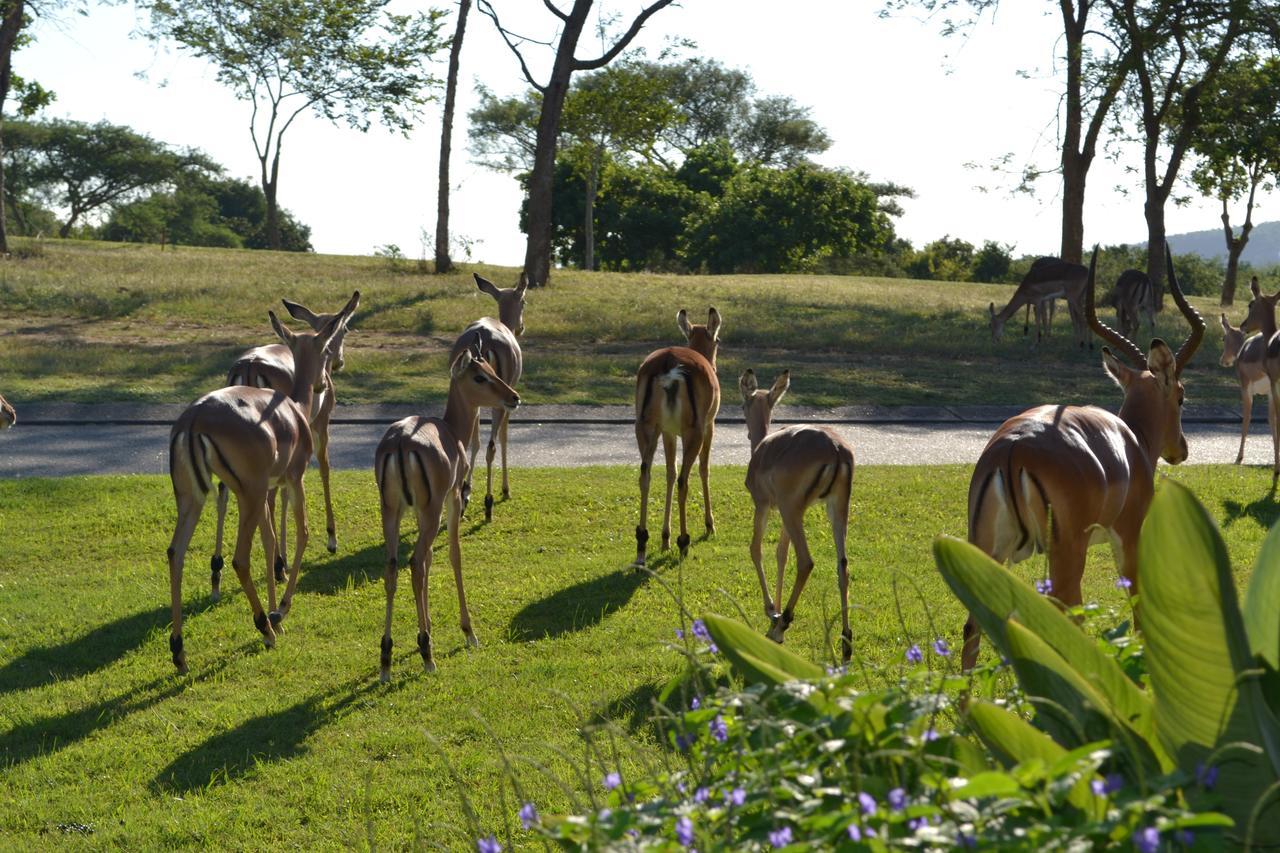 Kruger Park Lodge - Golf Safari Sa Hazyview Exteriör bild