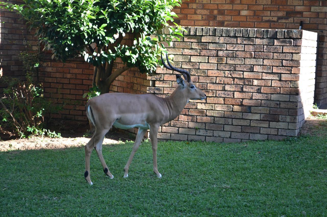 Kruger Park Lodge - Golf Safari Sa Hazyview Exteriör bild